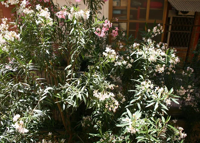 Appartement Le Fate Gianicolo Hill Rome